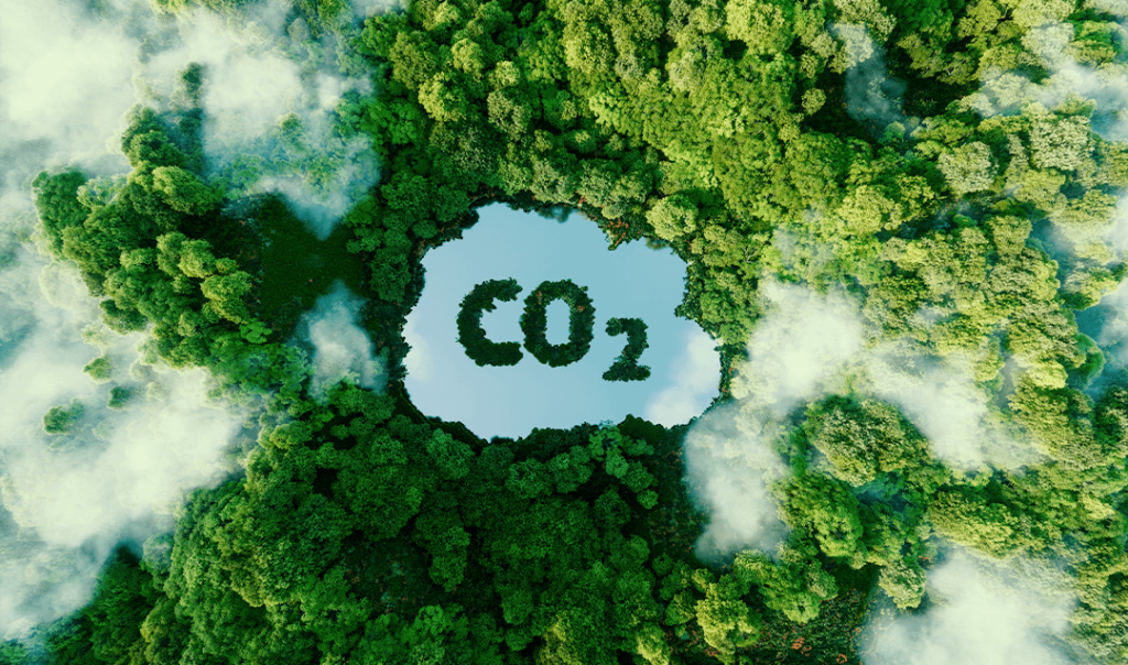 Mercado de carbono: por que investir nele